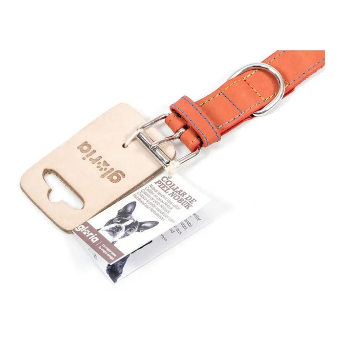 Dog collar Gloria Oasis Red (1,5 x 40 cm) - Домашни Животни<<<Дом Градина<<<BigBuy&&&Пътуване и разходки<<<Домашни