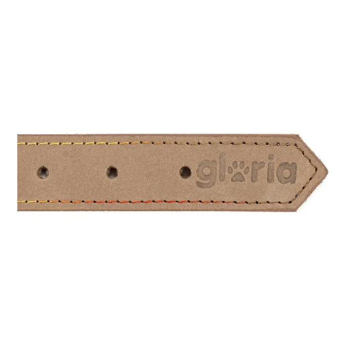 Dog collar Gloria Oasis White (1,5 x 40 cm) - Домашни Животни<<<Дом Градина<<<BigBuy&&&Пътуване и разходки<<<Домашни
