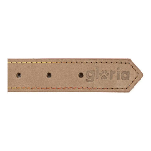 Dog collar Gloria Oasis White (70 x 3 cm) - Домашни Животни<<<Дом Градина<<<BigBuy&&&Пътуване и разходки<<<Домашни
