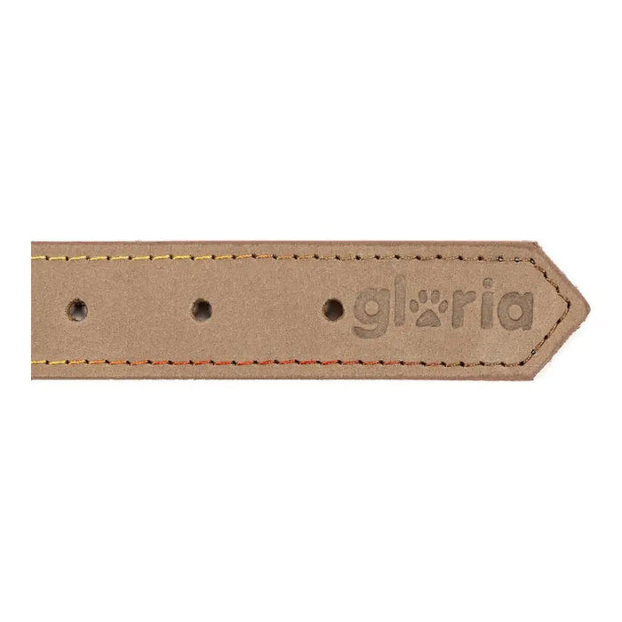 Dog collar Gloria Oasis White (70 x 3 cm) - Домашни Животни<<<Дом Градина<<<BigBuy&&&Пътуване и разходки<<<Домашни