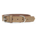 Dog collar Gloria Oasis White (70 x 3 cm) - Домашни Животни<<<Дом Градина<<<BigBuy&&&Пътуване и разходки<<<Домашни