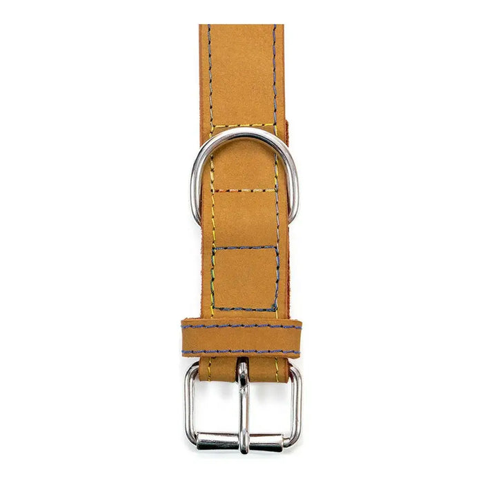 Dog collar Gloria Oasis Yellow (50 x 2,1 cm) - Домашни Животни<<<Дом Градина<<<BigBuy&&&Пътуване и разходки<<<Домашни