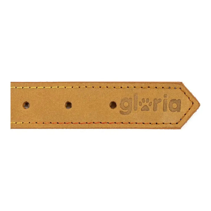Dog collar Gloria Oasis Yellow (50 x 2,1 cm) - Домашни Животни<<<Дом Градина<<<BigBuy&&&Пътуване и разходки<<<Домашни