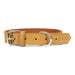 Dog collar Gloria Oasis Yellow (55 x 2,5 cm) - Домашни Животни<<<Дом Градина<<<BigBuy&&&Пътуване и разходки<<<Домашни