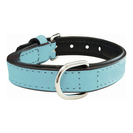 Dog collar Gloria Padded Blue (35 x 1,5 cm) - Домашни Животни<<<Дом Градина<<<BigBuy&&&Пътуване и разходки<<<Домашни