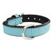 Dog collar Gloria Padded Blue (35 x 1,5 cm) - Домашни Животни<<<Дом Градина<<<BigBuy&&&Пътуване и разходки<<<Домашни