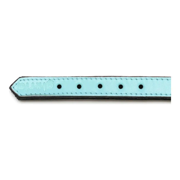 Dog collar Gloria Padded Blue (35 x 1,5 cm) - Домашни Животни<<<Дом Градина<<<BigBuy&&&Пътуване и разходки<<<Домашни