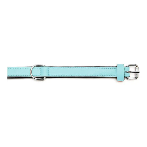 Dog collar Gloria Padded Blue (40 x 2 cm) - Домашни Животни<<<Дом Градина<<<BigBuy&&&Пътуване и разходки<<<Домашни