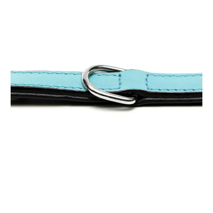 Dog collar Gloria Padded Blue (40 x 2 cm) - Домашни Животни<<<Дом Градина<<<BigBuy&&&Пътуване и разходки<<<Домашни