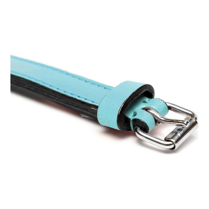 Dog collar Gloria Padded Blue (55 x 2,5 cm) - Домашни Животни<<<Дом Градина<<<BigBuy&&&Пътуване и разходки<<<Домашни