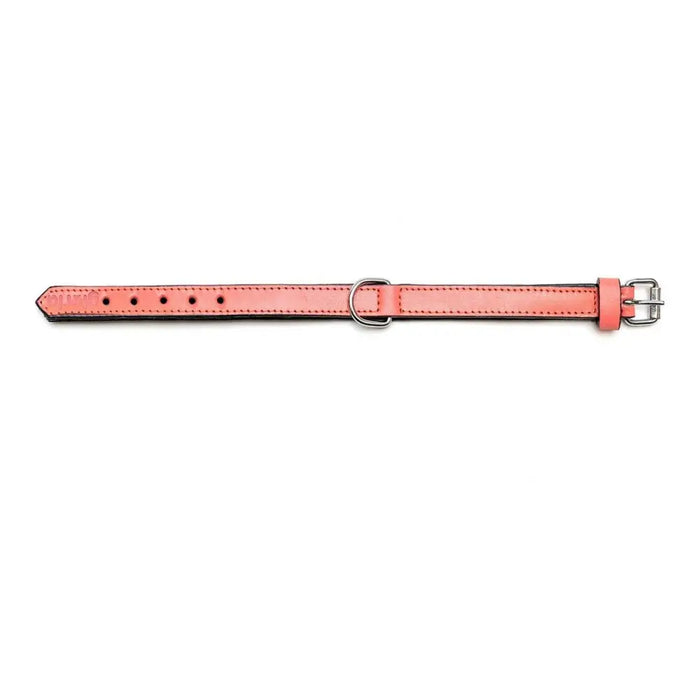 Dog collar Gloria Padded Coral (45 x 2 cm) - Домашни Животни<<<Дом Градина<<<BigBuy&&&Пътуване и разходки<<<Домашни
