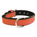 Dog collar Gloria Padded Coral (55 x 2,5 cm) - Домашни Животни<<<Дом Градина<<<BigBuy&&&Пътуване и разходки<<<Домашни