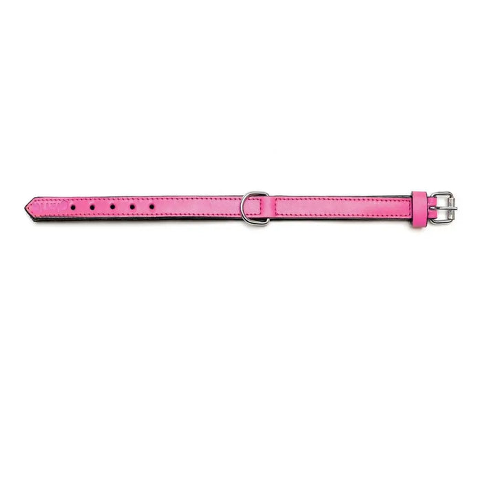 Dog collar Gloria Padded Fuchsia (30 x 1,5 cm) - Домашни Животни<<<Дом Градина<<<BigBuy&&&Пътуване и разходки<<<Домашни