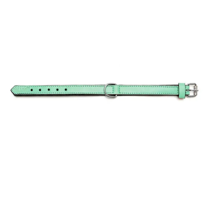 Dog collar Gloria Padded Green (30 x 1,5 cm) - Домашни Животни<<<Дом Градина<<<BigBuy&&&Пътуване и разходки<<<Домашни
