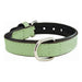 Dog collar Gloria Padded Green (40 x 2 cm) - Домашни Животни<<<Дом Градина<<<BigBuy&&&Пътуване и разходки<<<Домашни