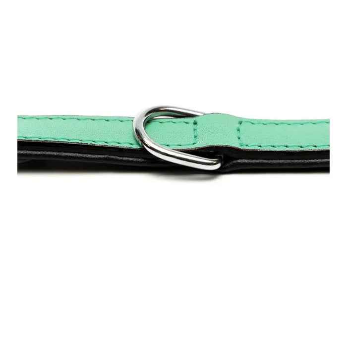 Dog collar Gloria Padded Green (40 x 2 cm) - Домашни Животни<<<Дом Градина<<<BigBuy&&&Пътуване и разходки<<<Домашни