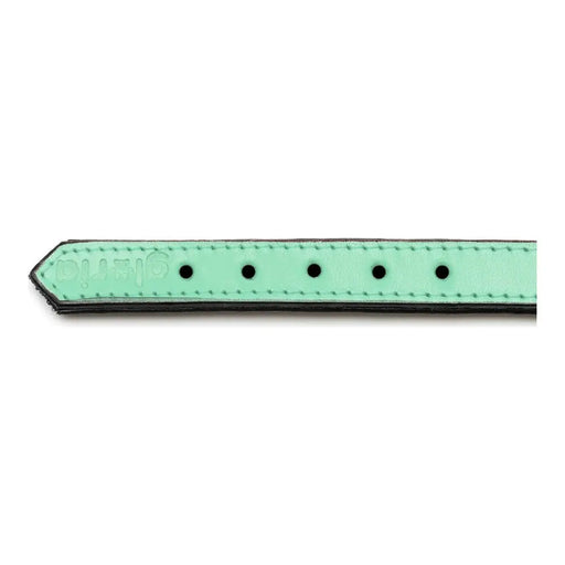 Dog collar Gloria Padded Green (50 x 2,5 cm) - Домашни Животни<<<Дом Градина<<<BigBuy&&&Пътуване и разходки<<<Домашни