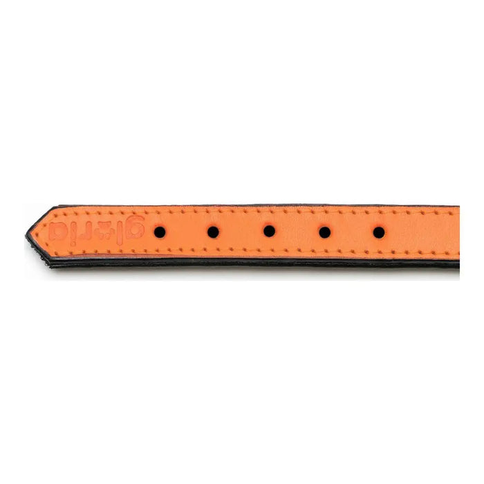 Dog collar Gloria Padded Orange (40 x 2 cm) - Домашни Животни<<<Дом Градина<<<BigBuy&&&Пътуване и разходки<<<Домашни