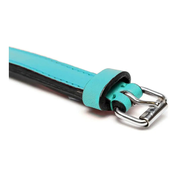 Dog collar Gloria Padded Turquoise 40 cm (40 x 2 cm) - Домашни Животни<<<Дом Градина<<<BigBuy&&&Пътуване и