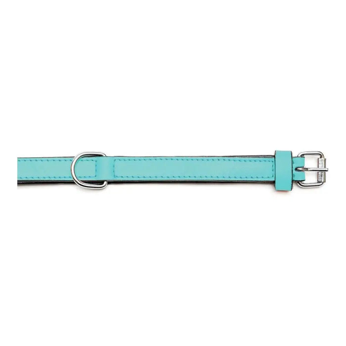 Dog collar Gloria Padded Turquoise 40 cm (40 x 2 cm) - Домашни Животни<<<Дом Градина<<<BigBuy&&&Пътуване и