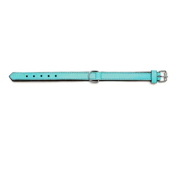 Dog collar Gloria Padded Turquoise 40 cm (40 x 2 cm) - Домашни Животни<<<Дом Градина<<<BigBuy&&&Пътуване и