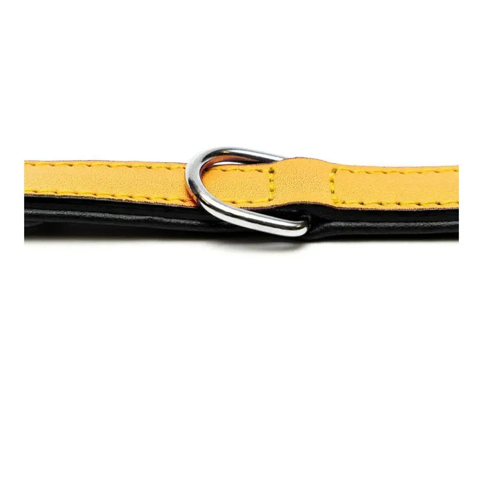 Dog collar Gloria Padded Yellow (30 x 1,5 cm) - Домашни Животни<<<Дом Градина<<<BigBuy&&&Пътуване и разходки<<<Домашни