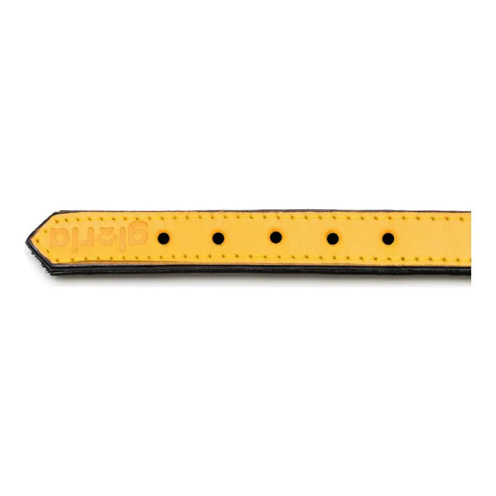 Dog collar Gloria Padded Yellow (30 x 1,5 cm) - Домашни Животни<<<Дом Градина<<<BigBuy&&&Пътуване и разходки<<<Домашни