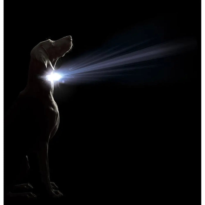 Dog collar Dog Gone Smart Purple L Light - Домашни Животни<<<Дом Градина<<<BigBuy&&&Пътуване и разходки<<<Домашни