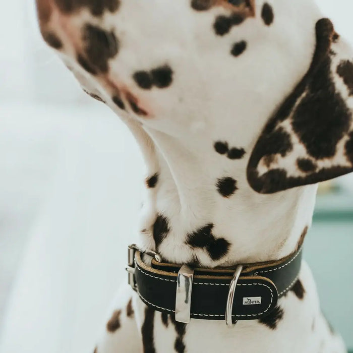 Dog collar Hunter Aalborg Black (20-24 cm) - Домашни Животни<<<Дом Градина<<<BigBuy&&&Пътуване и разходки<<<Домашни
