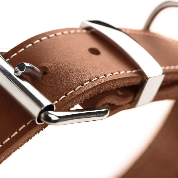 Dog collar Hunter Aalborg Cognac (20-24 cm) - Домашни Животни<<<Дом Градина<<<BigBuy&&&Пътуване и разходки<<<Домашни