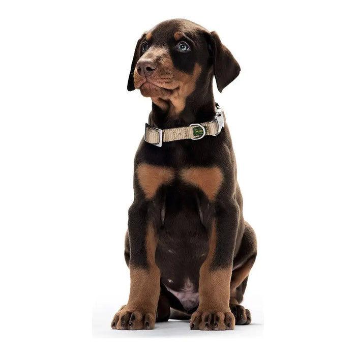 Dog collar Hunter Alu-Strong Black Size M (40-55 cm) - Домашни Животни<<<Дом Градина<<<BigBuy&&&Пътуване и