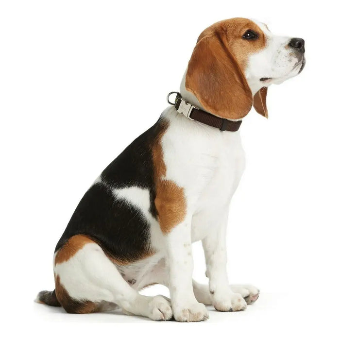 Dog collar Hunter Alu-Strong Brown Size M (40-55 cm) - Домашни Животни<<<Дом Градина<<<BigBuy&&&Пътуване и