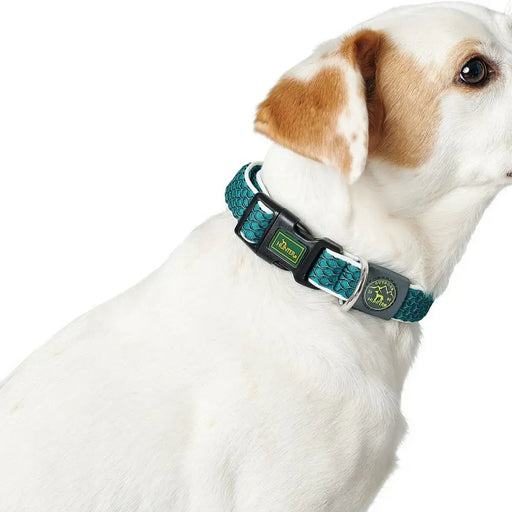 Dog collar Hunter Basic Thread Lime 20 - Домашни Животни<<<Дом Градина<<<BigBuy&&&Пътуване и разходки<<<Домашни