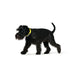Dog collar Hunter Convenience 53-61 cm L/XL Yellow - Домашни Животни<<<Дом Градина<<<BigBuy&&&Пътуване и