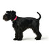 Dog collar Hunter Convenience Pink Size M/L (42-50 cm) - Домашни Животни<<<Дом Градина<<<BigBuy&&&Пътуване и