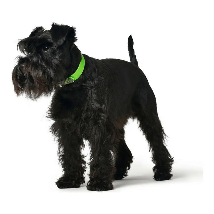 Dog collar Hunter Convenience Size M Green (38-46 cm) - Домашни Животни<<<Дом Градина<<<BigBuy&&&Пътуване и