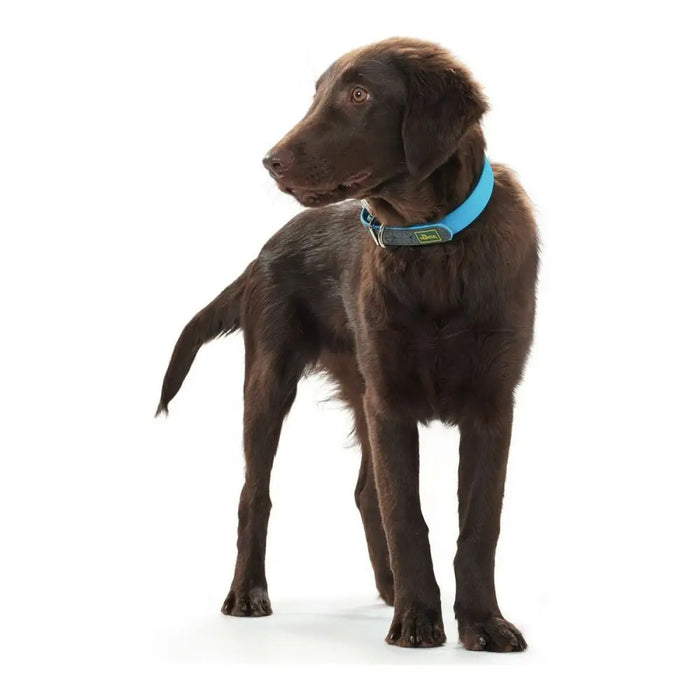 Dog collar Hunter Convenience Turquoise - Домашни Животни<<<Дом Градина<<<BigBuy&&&Пътуване и разходки<<<Домашни