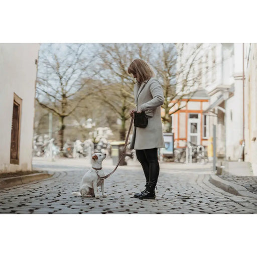 Dog collar Hunter Inari Beige M 30-45 cm - Домашни Животни<<<Дом Градина<<<BigBuy&&&Пътуване и разходки<<<Домашни