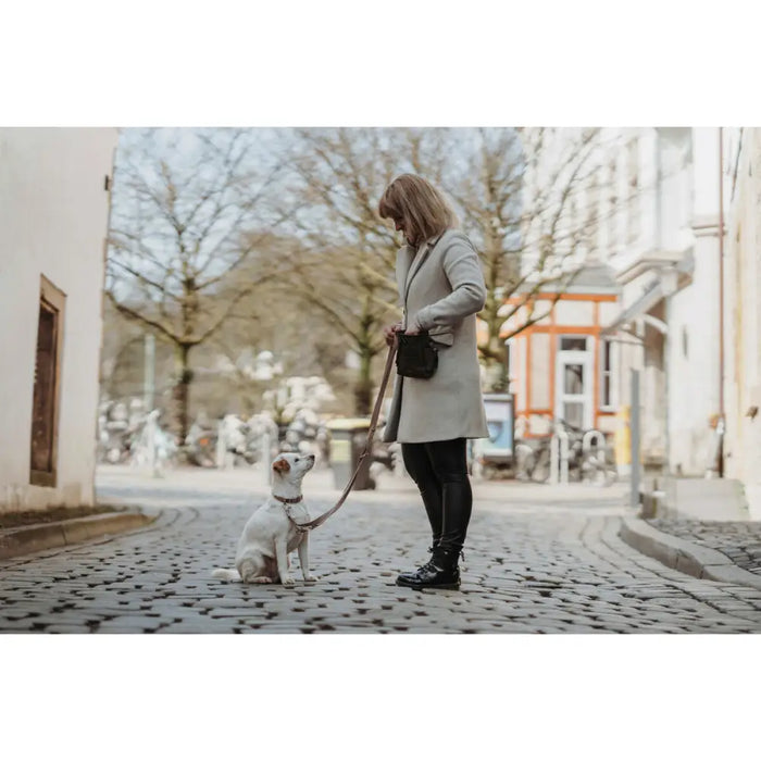 Dog collar Hunter Inari Beige M 30-45 cm - Домашни Животни<<<Дом Градина<<<BigBuy&&&Пътуване и разходки<<<Домашни