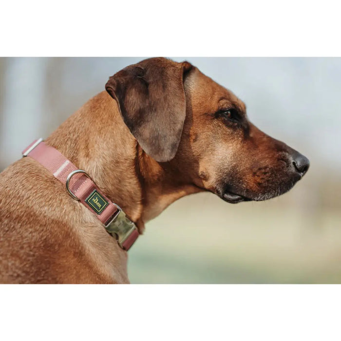 Dog collar Hunter Inari Red XL 45-65 cm - Домашни Животни<<<Дом Градина<<<BigBuy&&&Пътуване и разходки<<<Домашни