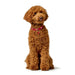 Dog collar Hunter Love M 41-49 cm Red - Домашни Животни<<<Дом Градина<<<BigBuy&&&Пътуване и разходки<<<Домашни