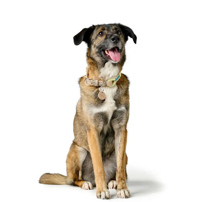 Dog collar Hunter MALIA Green M/L 45-54 cm - Домашни Животни<<<Дом Градина<<<BigBuy&&&Пътуване и разходки<<<Домашни