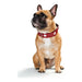 Dog collar Hunter Swiss Red/Black 30-34.5 cm - Домашни Животни<<<Дом Градина<<<BigBuy&&&Пътуване и разходки<<<Домашни
