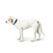 Dog collar Hunter Turquoise 12 - Домашни Животни<<<Дом Градина<<<BigBuy&&&Пътуване и разходки<<<Домашни Животни<<<Дом