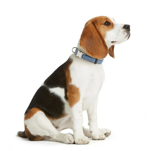 Dog collar Hunter VARIO BASIC Blue L 40-55 cm - Домашни Животни<<<Дом Градина<<<BigBuy&&&Пътуване и разходки<<<Домашни