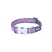 Dog collar Red Dingo STYLE HOT PINK ON COOL GREY 31-47 cm - Домашни Животни<<<Дом Градина<<<BigBuy&&&Пътуване и