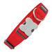 Dog collar Red Dingo Width Red (4 x 37-55 cm) - Домашни Животни<<<Дом Градина<<<BigBuy&&&Пътуване и разходки<<<Домашни