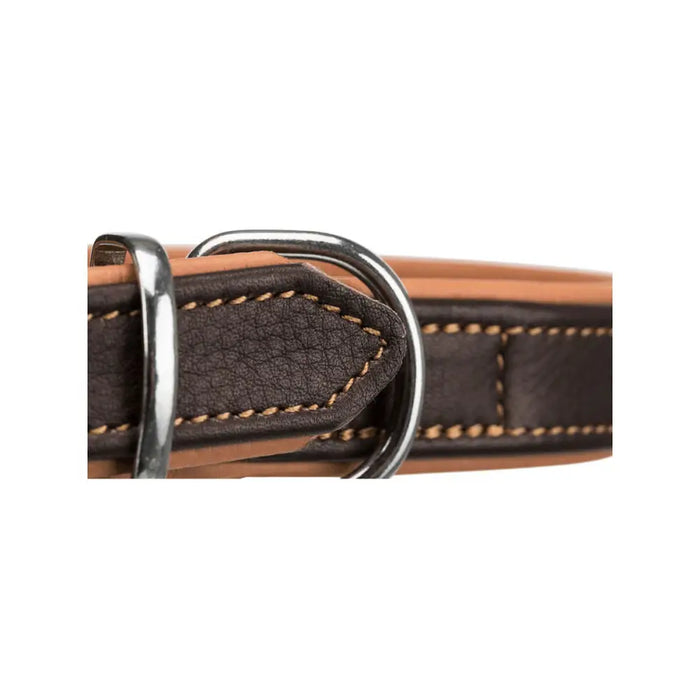 Dog collar Trixie Brown Light brown - Домашни Животни<<<Дом Градина<<<BigBuy&&&Пътуване и разходки<<<Домашни