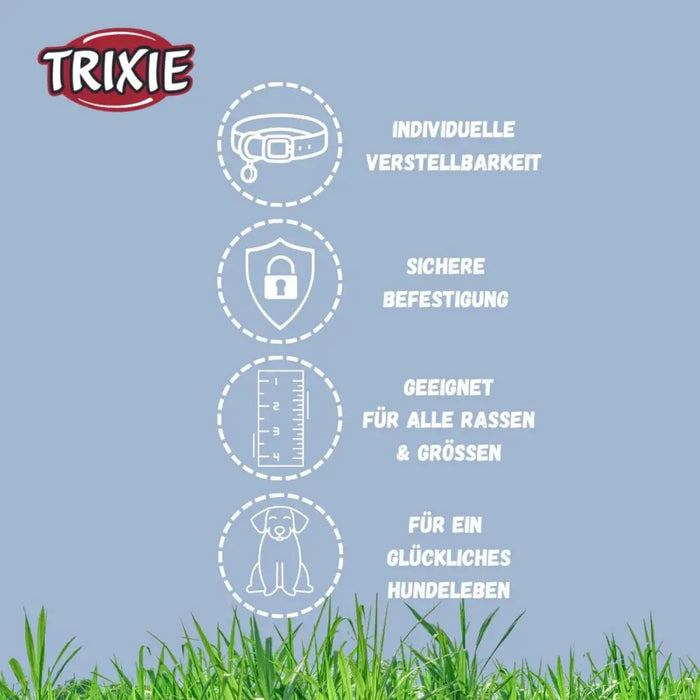 Dog collar Trixie CityStyle Green L/XL 50-57 cm - Домашни Животни<<<Дом Градина<<<BigBuy&&&Пътуване и