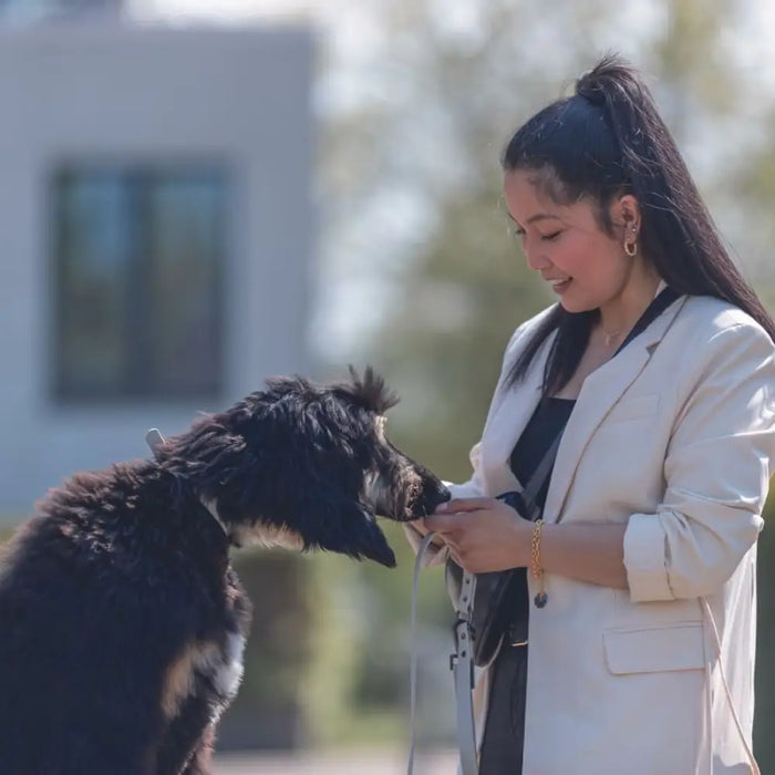 Dog collar Trixie CityStyle Light grey S/M 30-37 cm - Домашни Животни<<<Дом Градина<<<BigBuy&&&Пътуване и